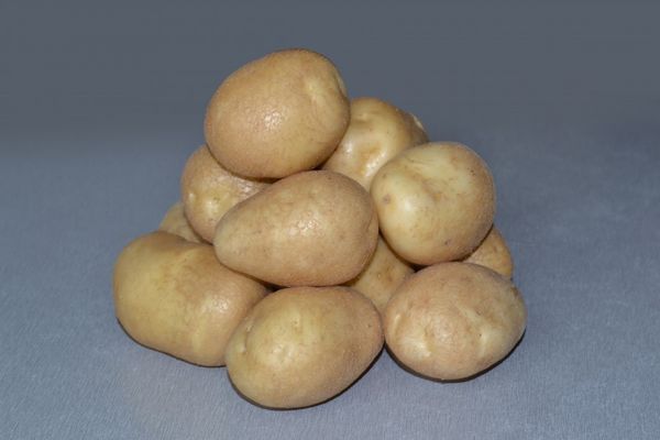  Potatisorter Luck