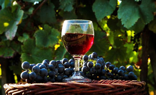  Vin från östliga druvor